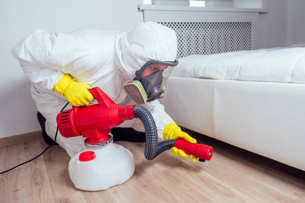 Best Fumigation Services  in Aurora, IL